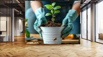 leisure time hobby, Women doing replant small tree to new pot at home Wall mural