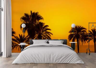 Palm trees silhouette at sunset, Tenerife, Spain Wall mural