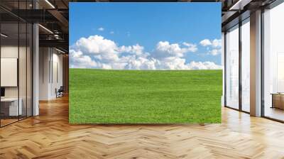 Green grass field with clear blue sky and white clouds Wall mural