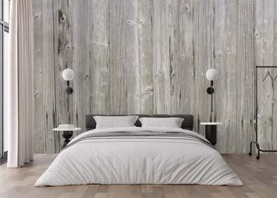 Natural bright grey barn wood wall. Wall texture background pattern. Wall mural