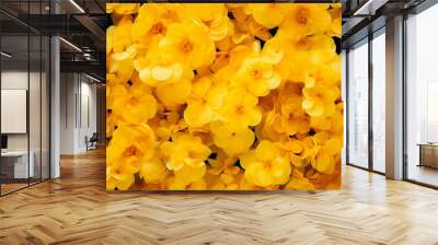 A sea of golden marigolds fills the frame, offering a feel of warmth and the abundance of summer Wall mural