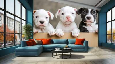 Adorable Puppies in a Cardboard Box Wall mural