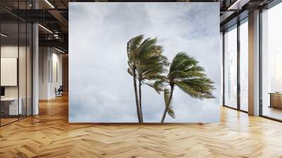 Hurricane Delta tearing up the coastline of Grand Cayman Wall mural