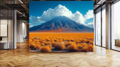 Salar de Uyuni salt flat in Bolivia. Salt desert background. Wall mural