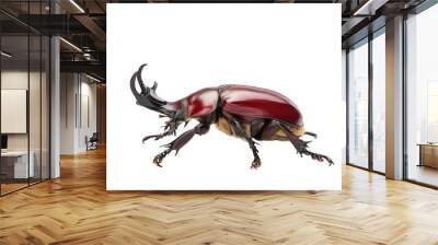 side view of stag beetle isolated on white png Wall mural