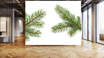 fir leaves isolated on transparent background Wall mural