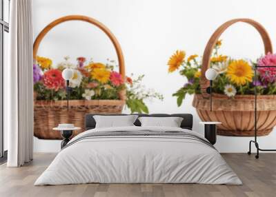 set of flower in baskets Wall mural