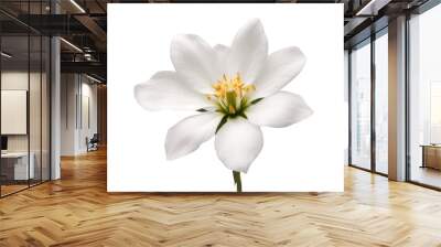 white flower isolated on transparent background Wall mural