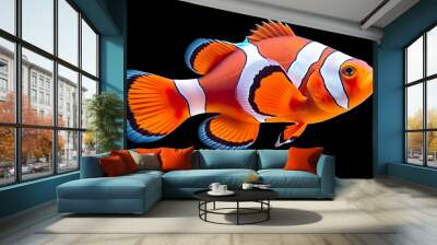 Lovely colored clown fish isolated against a dark background Wall mural