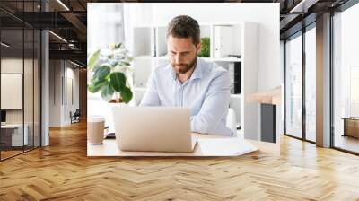 Focused businessman working on laptop computer Wall mural