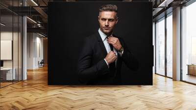 Handsome confident businessman wearing suit Wall mural