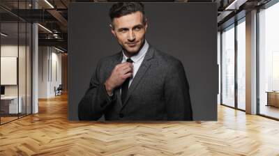 Image of mature unshaved man wearing business suit looking aside while correcting his black tie, isolated over gray background Wall mural