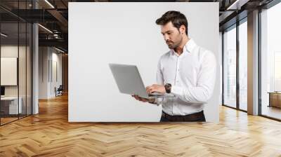 Image of young successful businessman holding and using laptop Wall mural