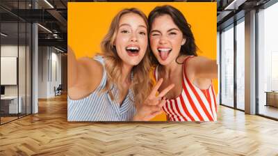 Portrait closeup of two amusing blonde and brunette women 20s in summer wear smiling while looking at camera Wall mural