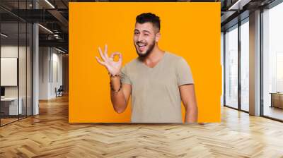 Portrait of a cheerful young bearded man in t-shirt Wall mural