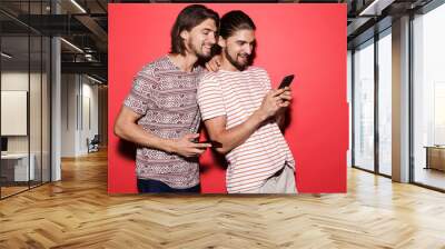 Portrait of a two young smiling twin brothers Wall mural