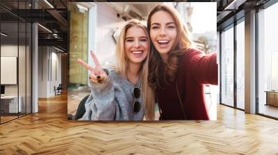 Two joyful attractive girls taking a selfie while sitting together Wall mural