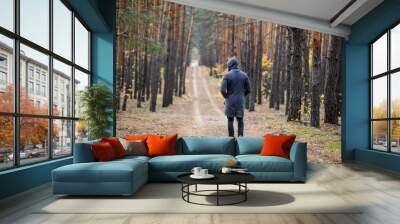 a man walks away on a forest road Wall mural