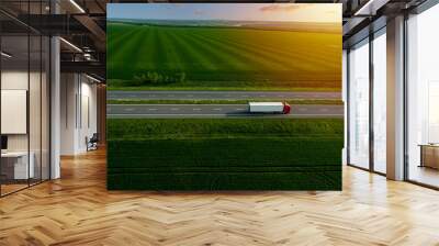 red cargo truck on the highway. asphalt road among green fields at sunset. cargo delivery and transportation concept Wall mural