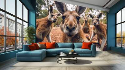 Kangaroos taking selfie photo. AI generative art Wall mural