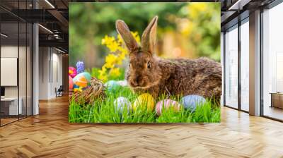 easter bunny and eggs Wall mural