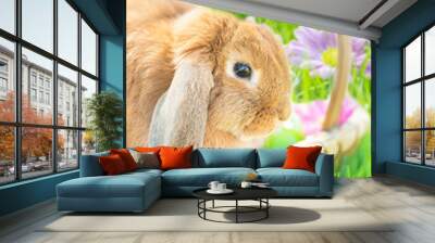 easter bunny with eggs in the grass in a easter basket Wall mural