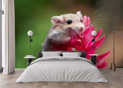 Cute little gerbil on red flowers Wall mural