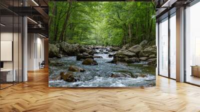 Looking from the center of a stream with large boulders in a forest. Wall mural