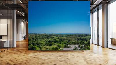 green forrest nature view with ocean and blue sky Wall mural