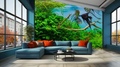 natural aquarium with fish Wall mural