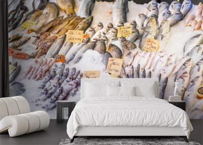 Closeup view of assorted seafood and fish at Fish market in Alanya, Turkey. Raw fish and seafood. Wall mural