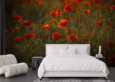 poppy field Wall mural