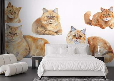 set of watercolor cats illustrations, cat illustration, positions, png model sheet realistic character design on white background, hand drawn painting on wet canvas, real kittens posing Wall mural