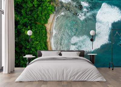 Aerial Drone View of a tropical island with lush jungle in Costa Rica, Isla del Caño Wall mural