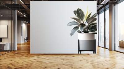 plant in a vase on the table Wall mural