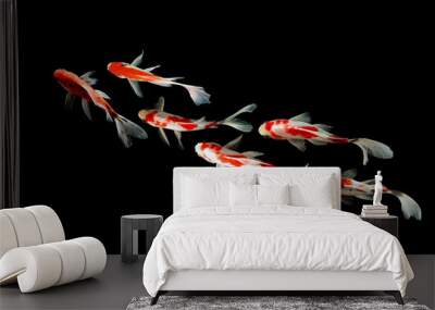 Top View Koi fish swimming on black background Wall mural