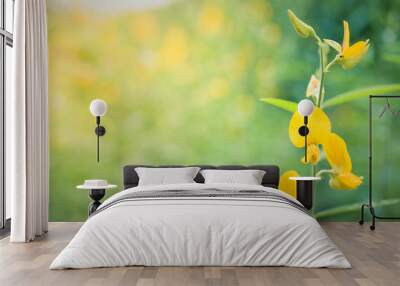 closeup yellow flower blued nature background, green natural background Wall mural