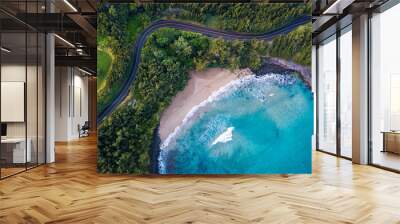 Aerial view of the sandy beach and curved asphalt road on the west coast of Maui. Hawaii Wall mural