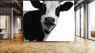 cow 2(10).jpg Wall mural