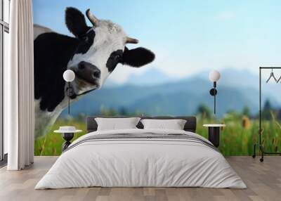 cow Wall mural