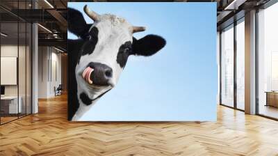 cow Wall mural