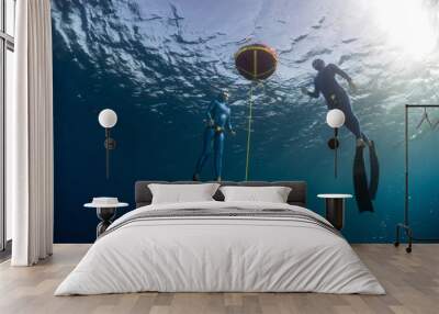 Freedivers Wall mural