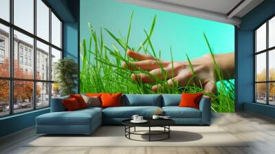 hand holding a green grass Wall mural