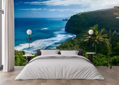 Panorama of the northern coast of the Big Island with steep green cliffs and blue Pacific Ocean, Hawaii Wall mural