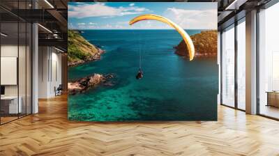 Skydiver flying over the water Wall mural