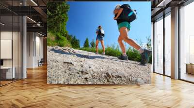 two ladies with backpacks walking on a trail in summer alps Wall mural