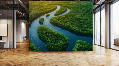 Aerial view of a winding river through lush green forest. Wall mural