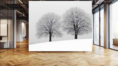 Two bare trees in a snowy field with a grey sky. Wall mural