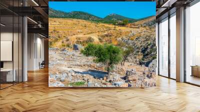 Archaeological site of Mycenae in Greece Wall mural