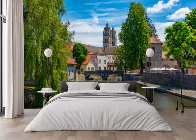 Bistrica river and the Saint Stephen parish church in Slovenian town Ribnica Wall mural